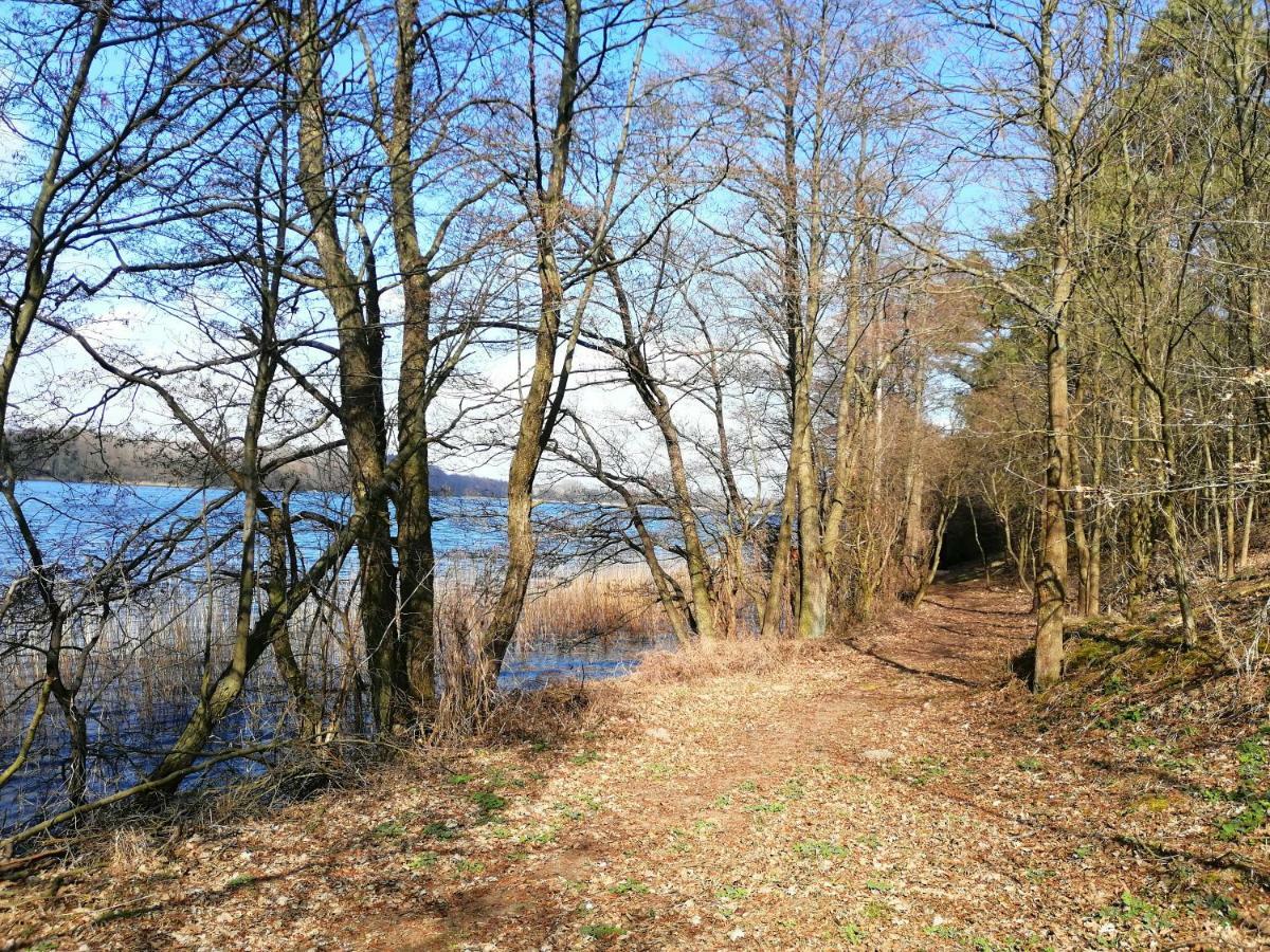 Domki Nad Jeziorem Dąbrówno エクステリア 写真