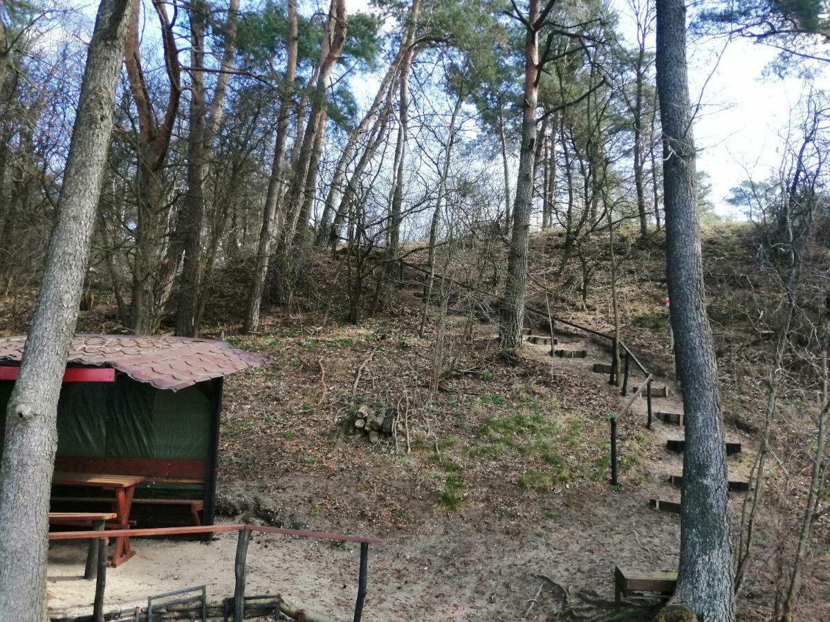 Domki Nad Jeziorem Dąbrówno エクステリア 写真